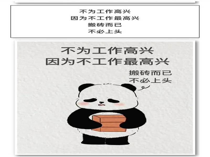 hally谈阵容磨合:批评或许有道理,但我不会贬低自己的工作